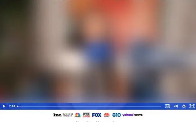 Video player screenshot with the playback control bar visible